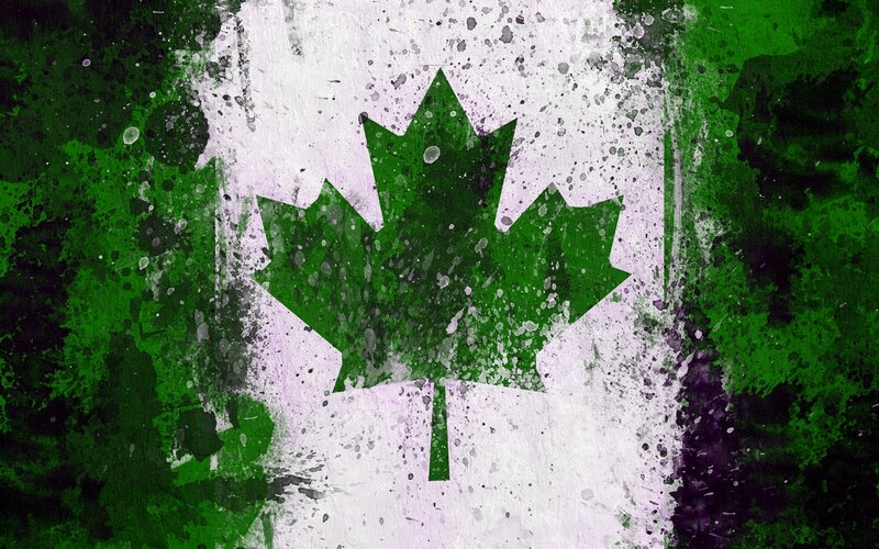 Green Maple Leaf — Gritty