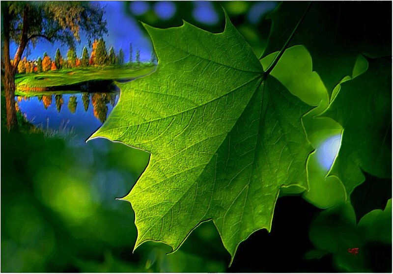 Green Maple Leaf — Serene, Autumn, Digital Art