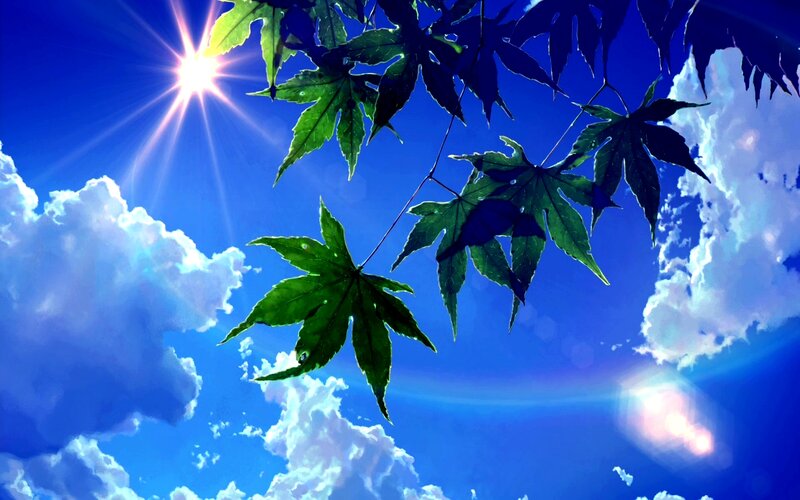Green Maple Leaves — Blue