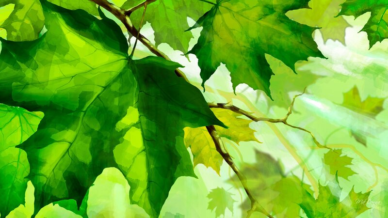 Green Maple Leaves — Serene, Afternoon, Digital Art
