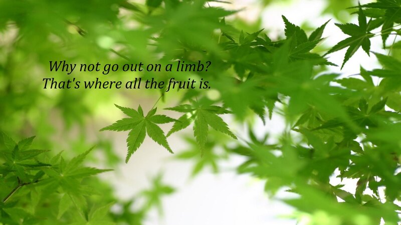 Green Maple Leaves — Serene, Spring, Photograph, Text