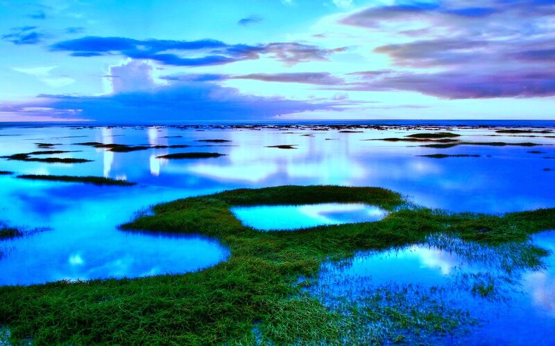 Green Marsh Islands