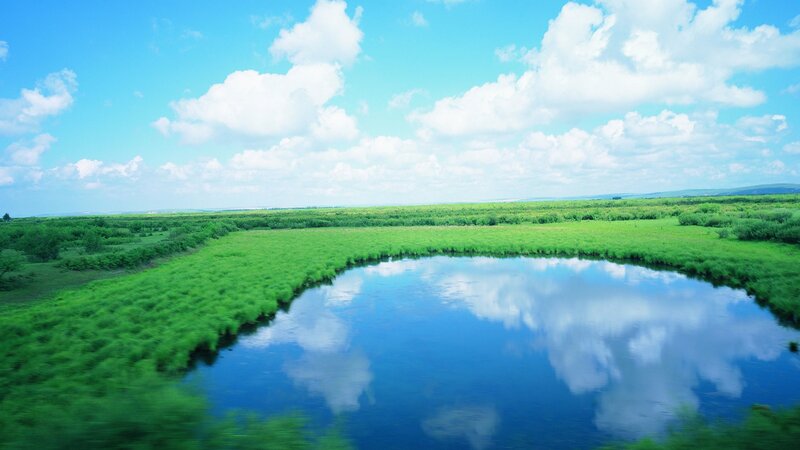 Green marsh with blue sky reflection