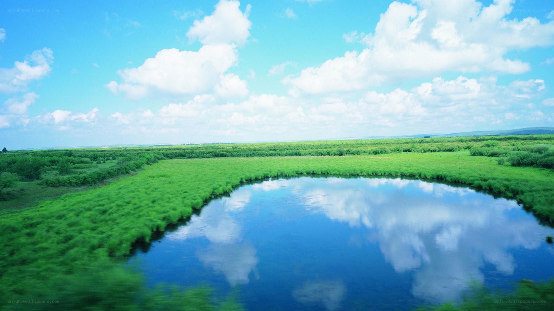 Green marsh with blue sky reflection