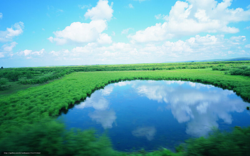 Green marsh with blue sky reflection
