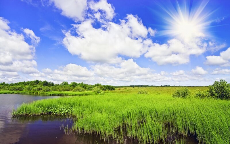 Green Marshland with River — Blue