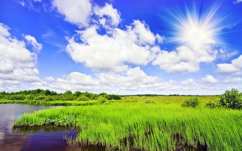 Green Marshland with River