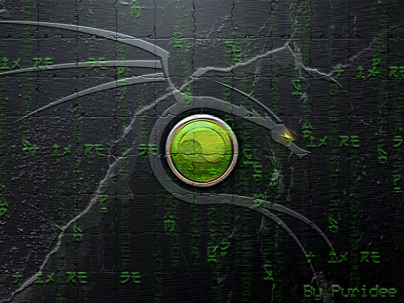 green matrix-style digital interface