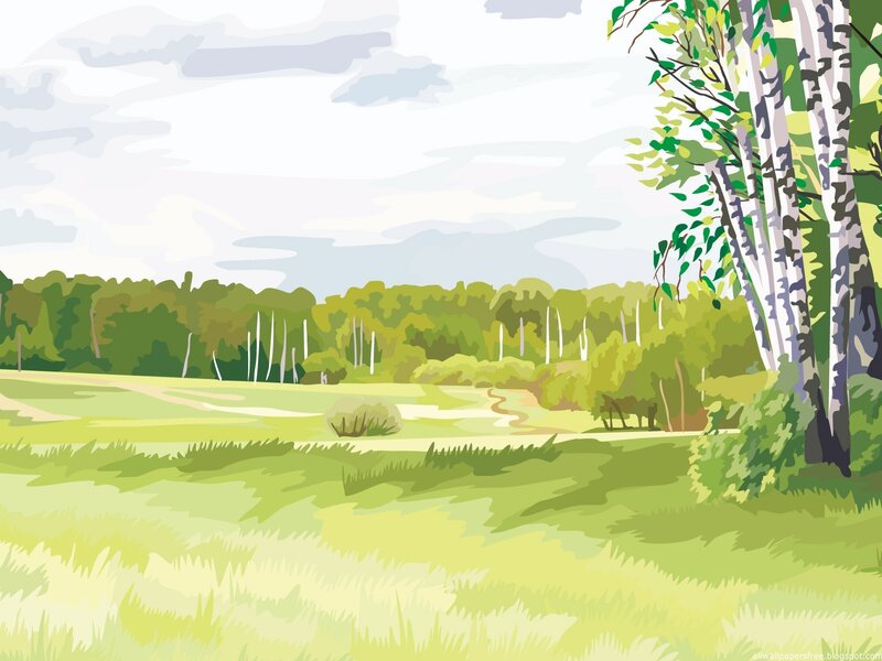 Green meadow with birch trees