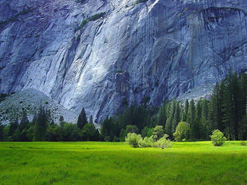 Green Meadow with Cliff — Grass