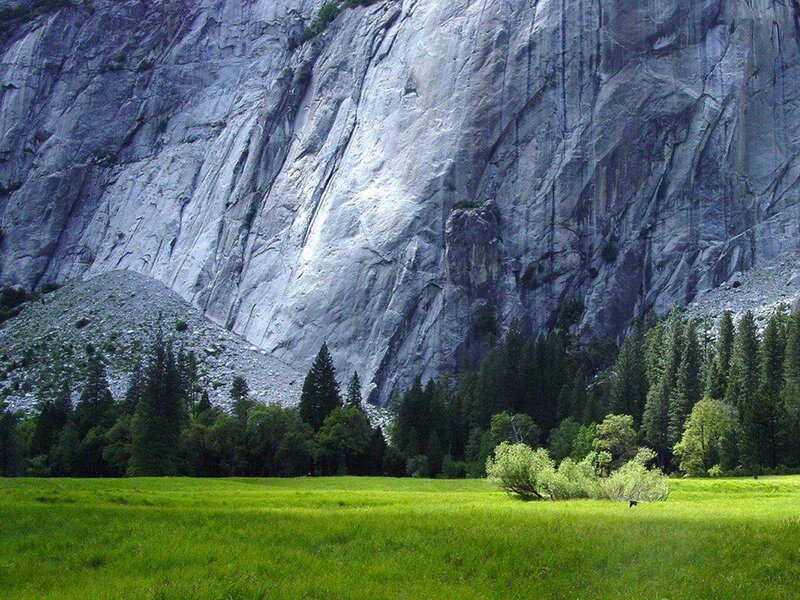 Green Meadow with Cliff — Gray