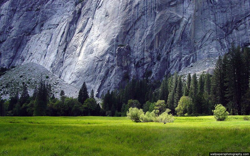 Green Meadow with Cliff — Serene