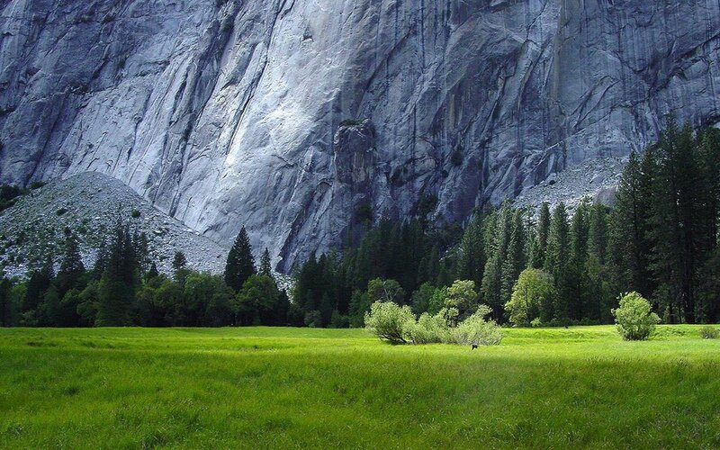 Green Meadow with Cliff — Serene, Trees