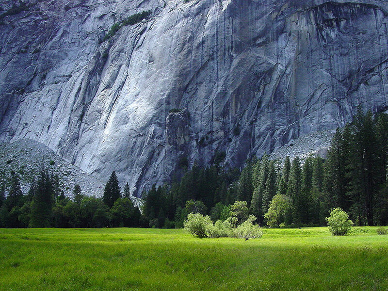 Green Meadow with Cliff