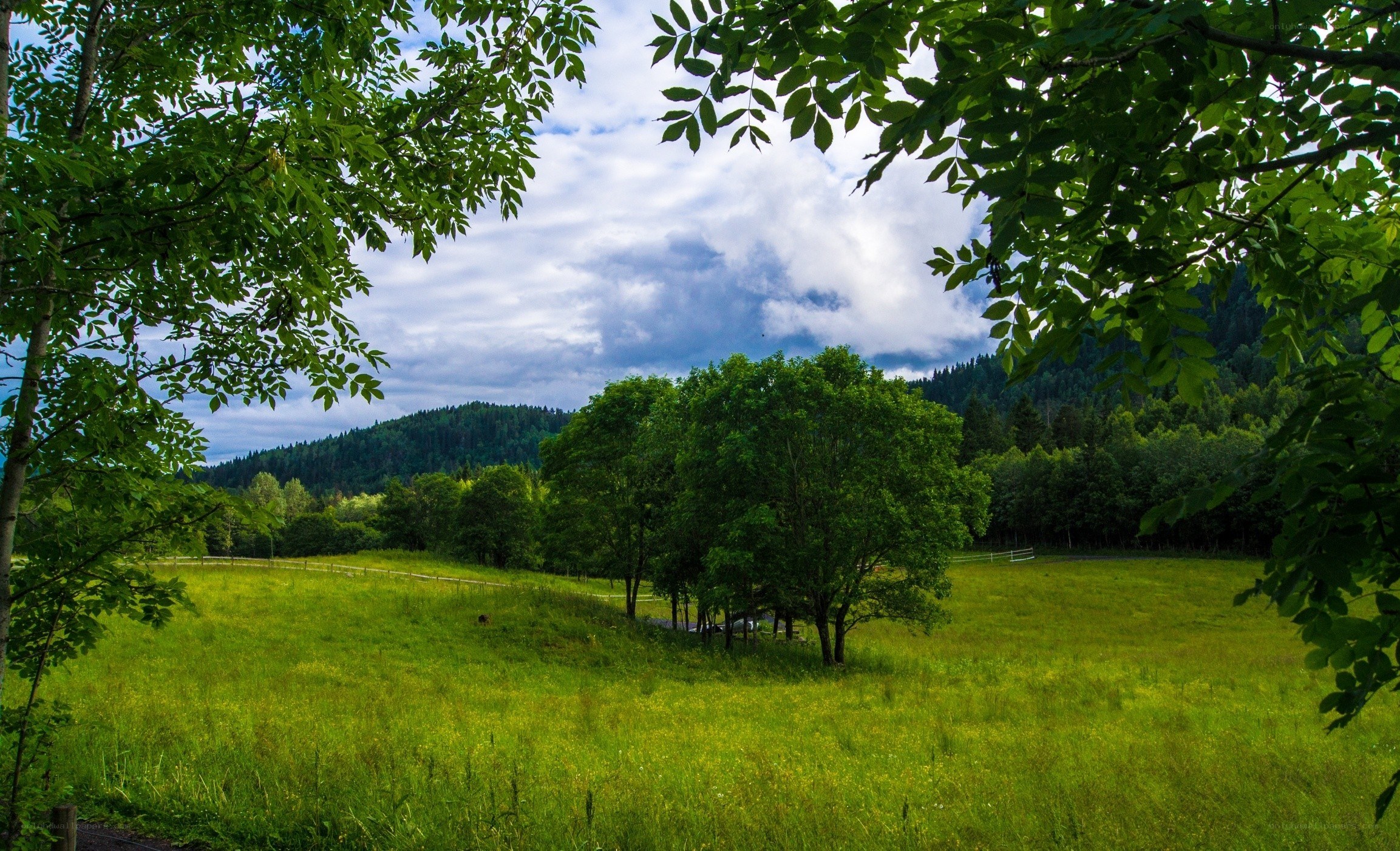 Green meadow with forested hills