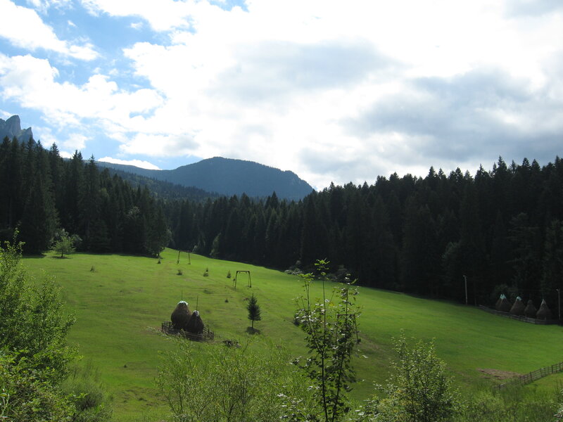 Green meadow with hay bales and mountains