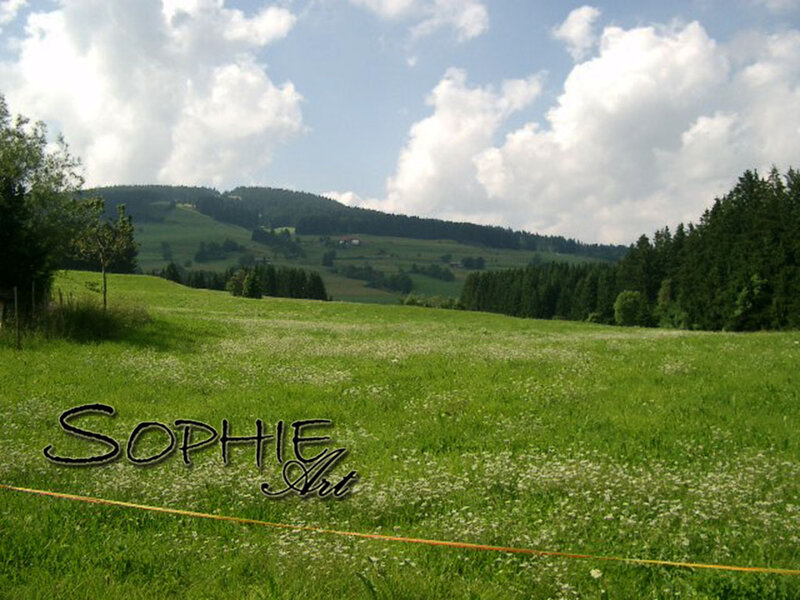 Green Meadow with Hills — Serene