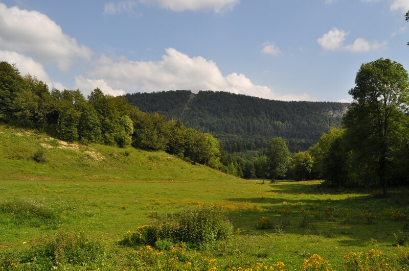 Green Meadow with Hills