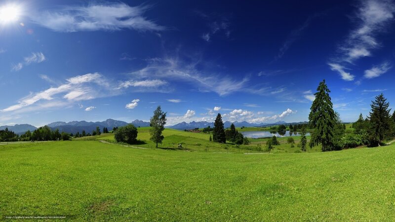 Green Meadow with Lake
