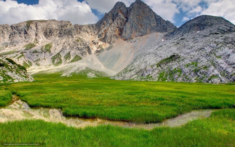 Green Meadow with Mountain