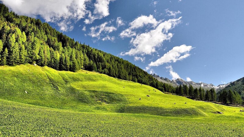 Green Meadow with Mountains — Serene, Afternoon, Photograph, Trees, Clouds, Blue