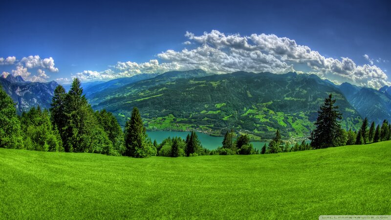 Green Meadow with Mountains — Serene, Afternoon