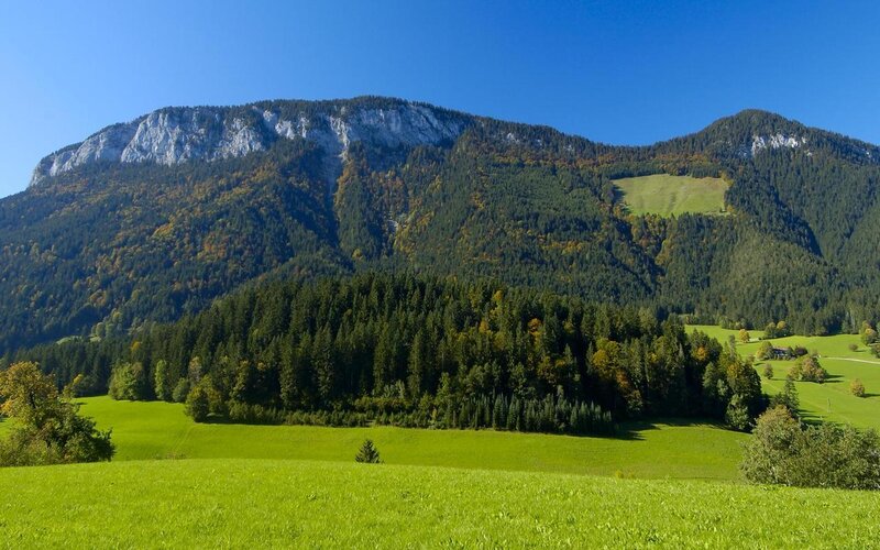 Green Meadow with Mountains — Serene, Autumn