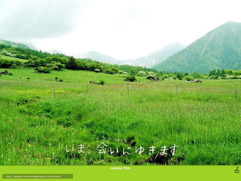 green meadow with mountains
