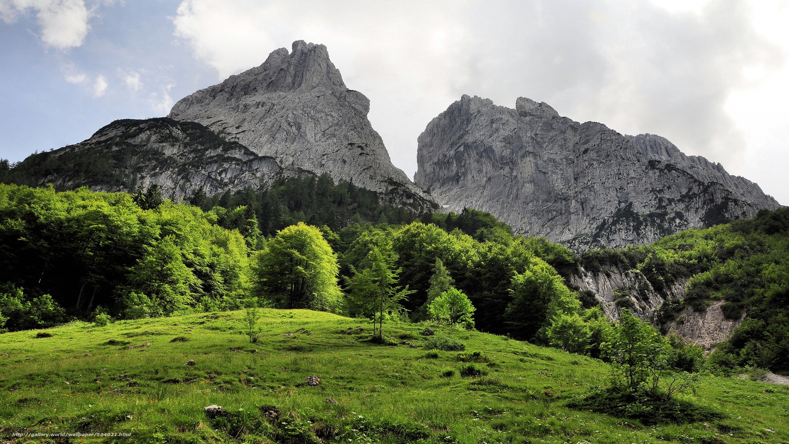 Green meadow with rocky mountains