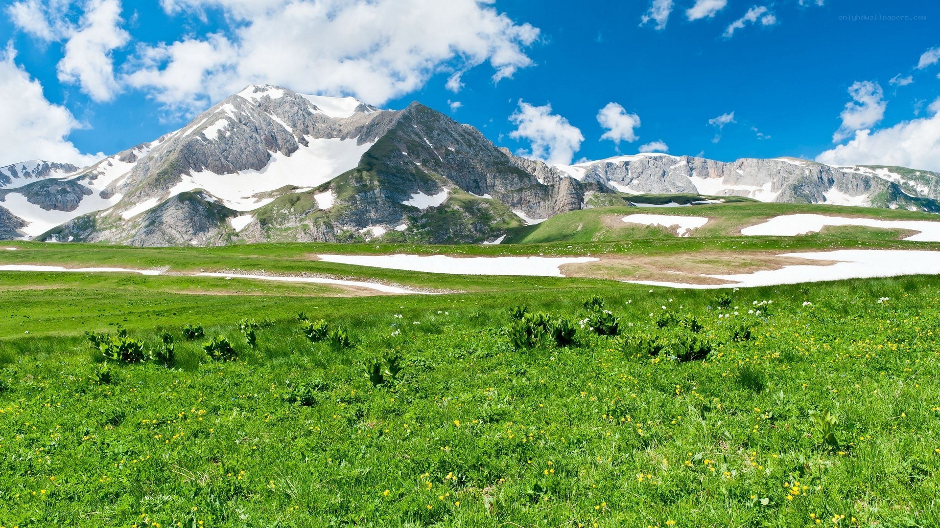 Green meadow with snow-capped mountains