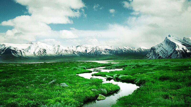 Green Meadow with Stream — Serene, Afternoon