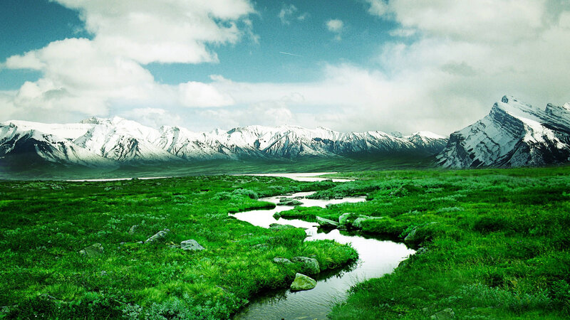 Green Meadow with Stream — Serene