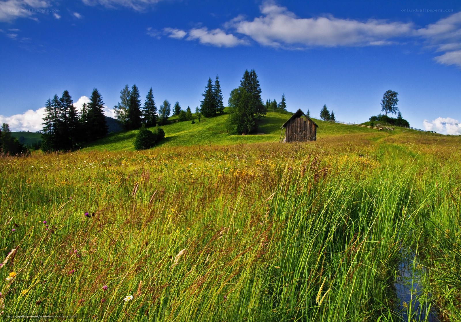 Green meadow with wooden hut