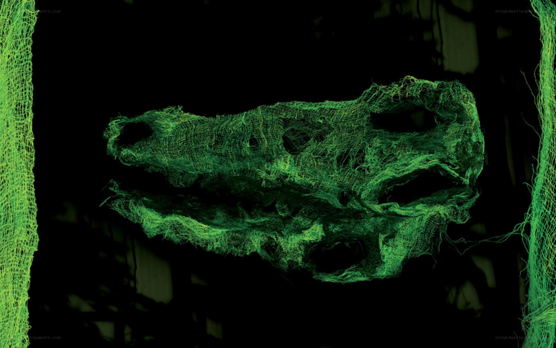 Green mesh alligator skull