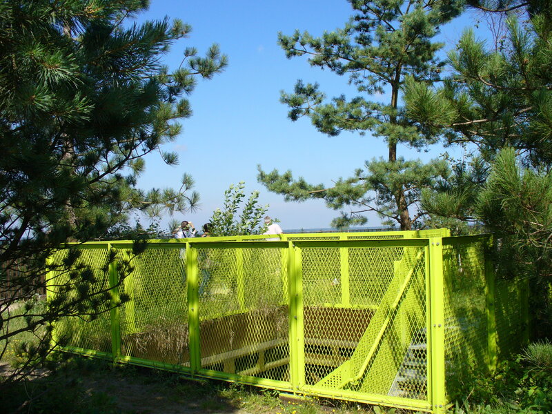 Green Metal Enclosure