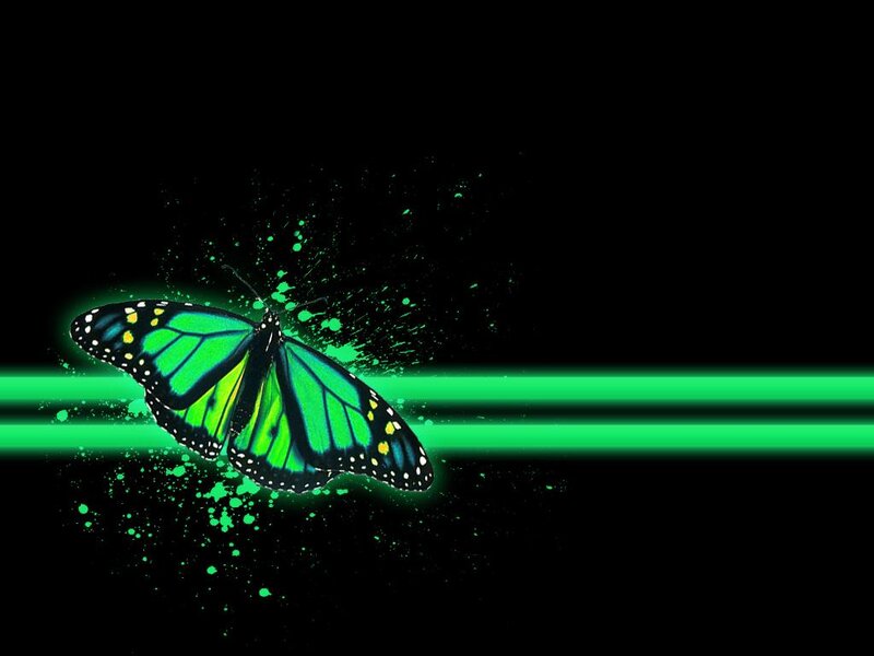 Green Monarch Butterfly