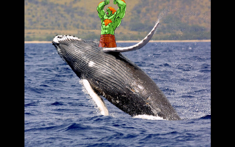 green monster on whale
