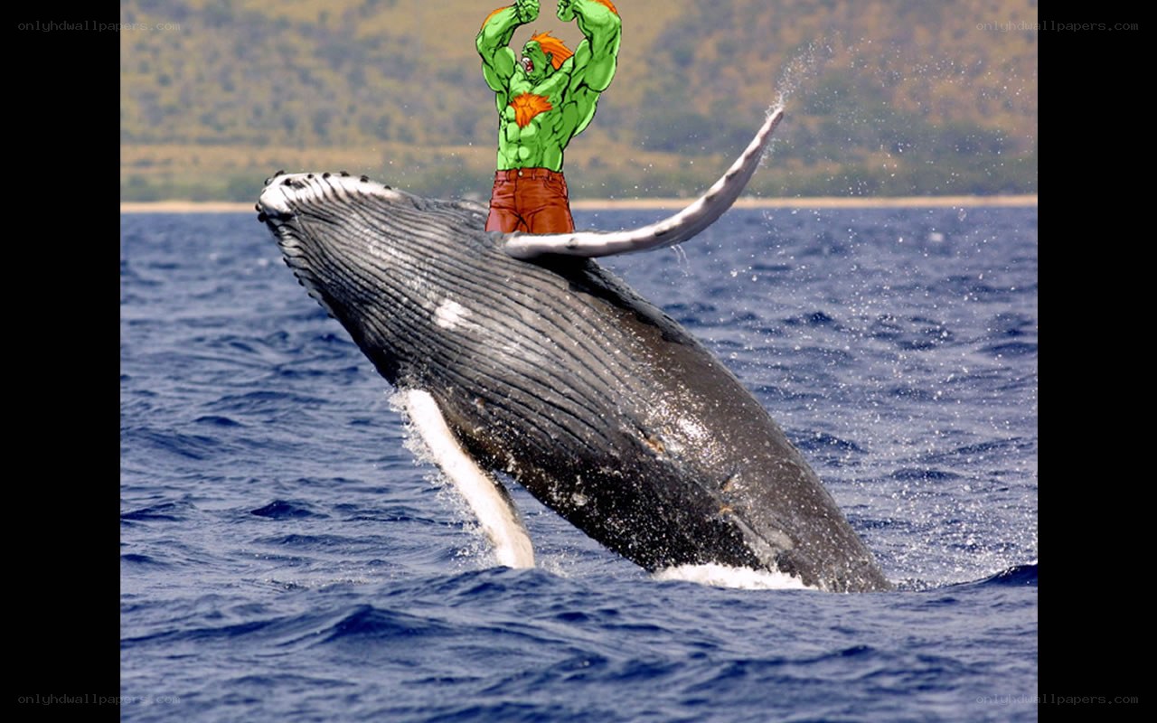 green monster on whale