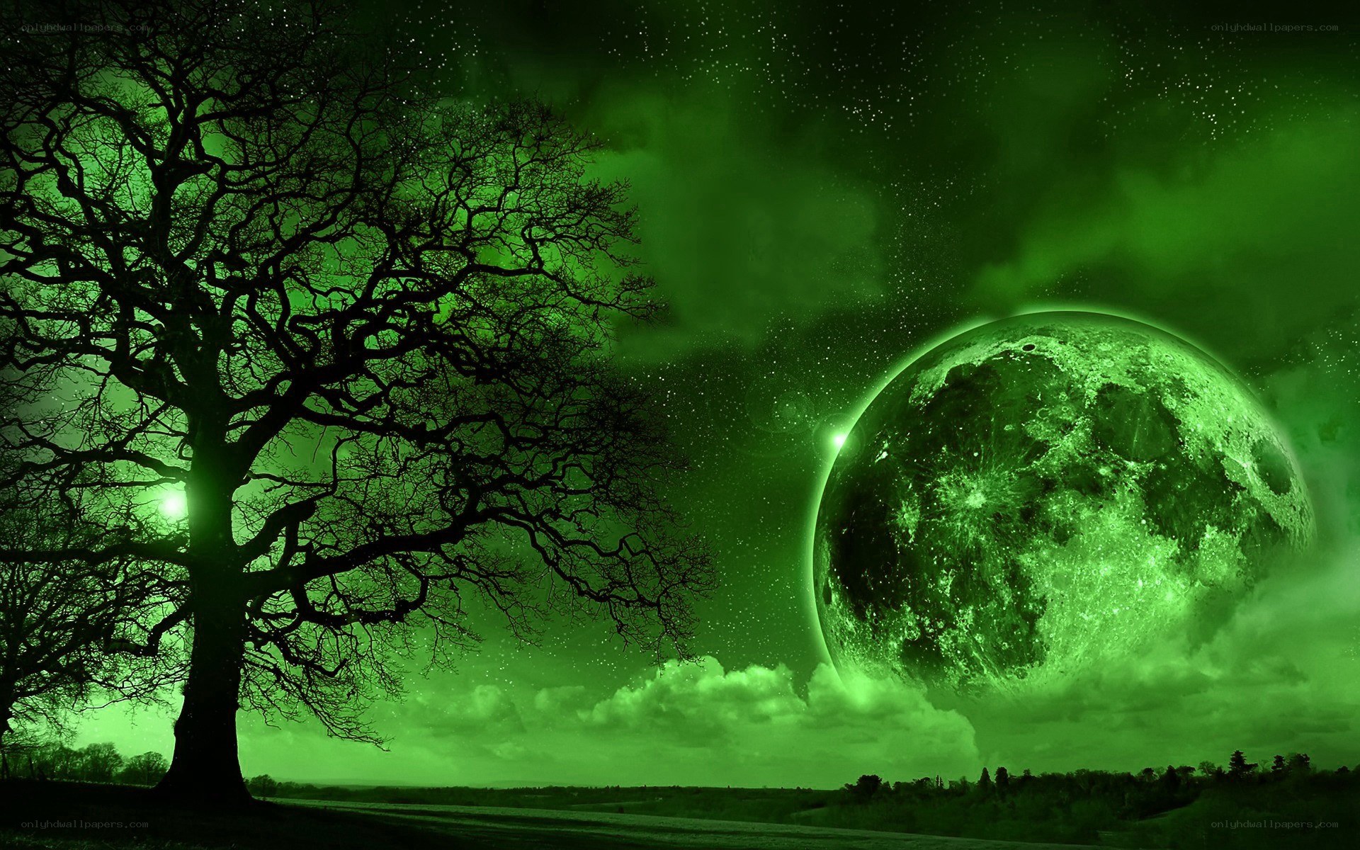 Green moon over barren tree