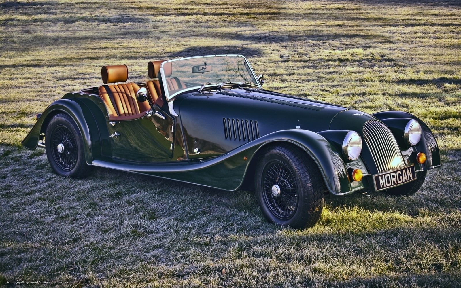 Green Morgan Roadster on Grass