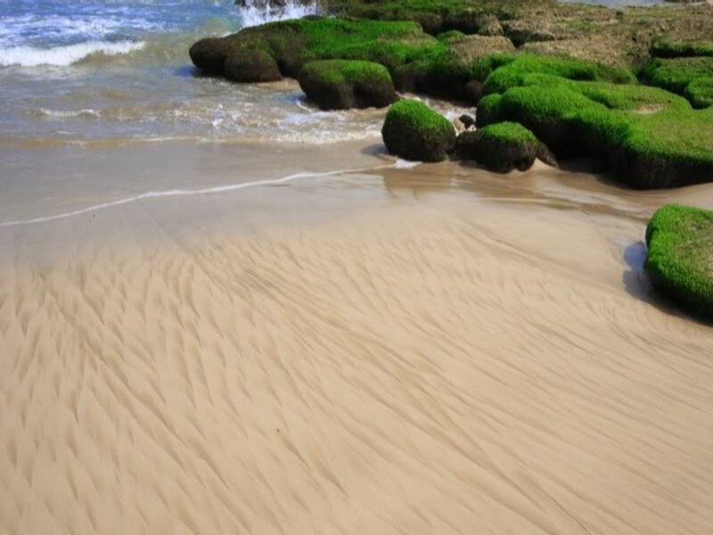 Green Moss-covered Rocks — Beige