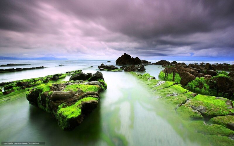 Green Moss-covered Rocks — Dramatic, Afternoon