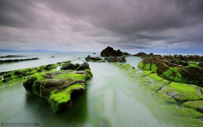 Green Moss-covered Rocks — Dramatic, Photograph