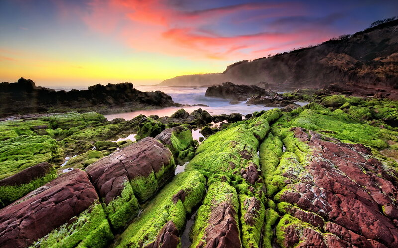 Green Moss-covered Rocks — Dramatic