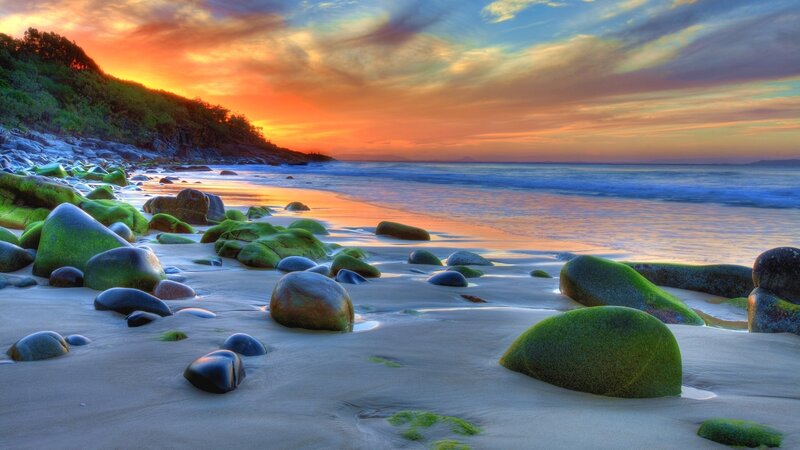 Green Moss-covered Rocks — Orange