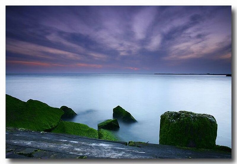 Green Moss-covered Rocks — Purple