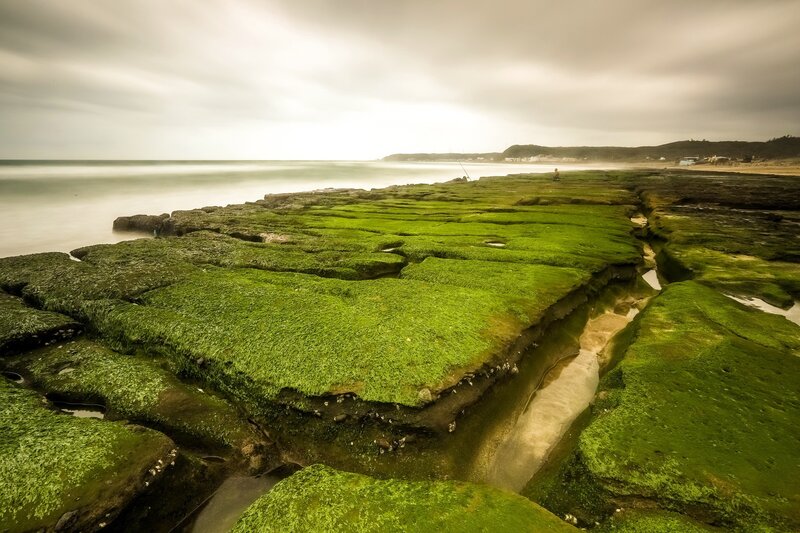 Green Moss-covered Rocks — Serene, Morning