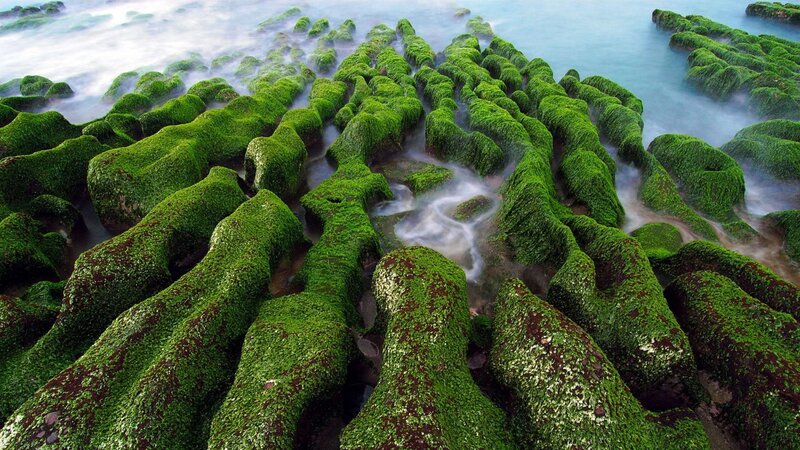 Green Moss-covered Rocks — Serene, Photograph