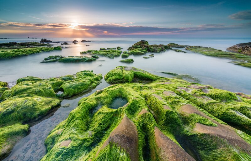 Green Moss-covered Rocks — Serene, Sunrise, Photograph