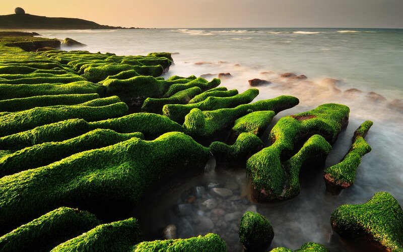 Green Moss-covered Rocks — Serene, Sunset, Photograph, Ocean, Waves